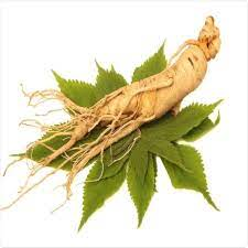 Natural 100% Ginseng extract Liquid Cosmetic Grade Herabl Extract CAS 90045-38-8