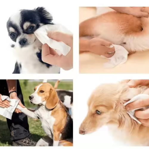 Best Selling Promotional Price Dog Cleaning Wipes Solution Rich Foam for Non-woven Pet Wet Wipe Making Machine